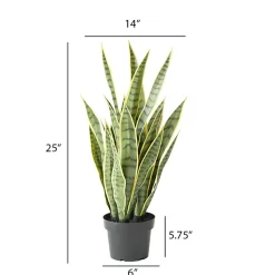 Green and yellow artificial sansevieria, 24″
