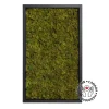 Green moss artificial plant wall, 24 x 15″