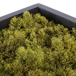 Green moss artificial plant wall, 24 x 15″