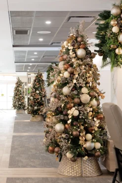 Hanging golden eucalyptus foliage, 27″