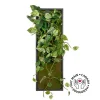 Hanging pothos vertical green wall, 36 x 12″