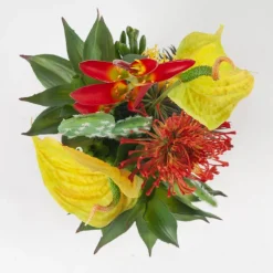 Heliconia Psittacorum Stem, 28″