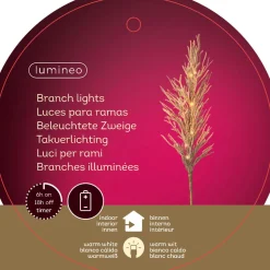 Herbe de la pampa illuminée beige, 31,5″