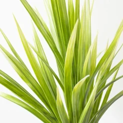 Herbe de rivière artificielle, 23″