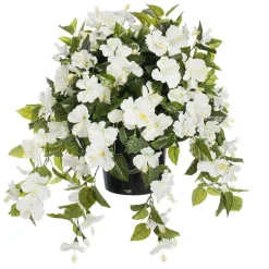 Hibiscus blanc en pot de culture noir, 28 x 20″