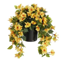 Hibiscus jaune en pot de culture noir, 28 x 20″