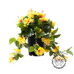 Hibiscus jaune en pot de culture noir, 22 x 12″