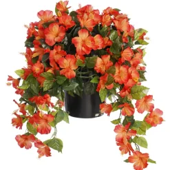 Hibiscus orange en pot de culture noir, 28 x 20″