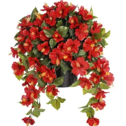 Hibiscus rouge en pot de culture noir, 28 x 20″