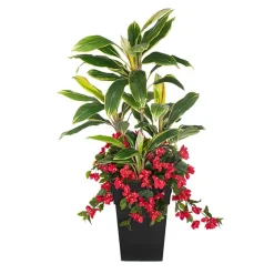 Jardinière extérieure de bougainvillier et cordyline, 52″