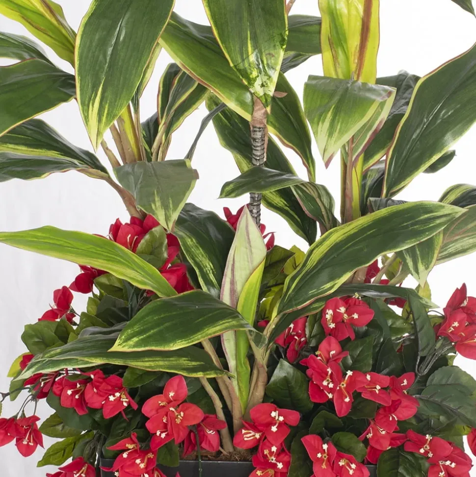 Jardinière extérieure de bougainvillier et cordyline, 52″