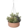 Jardinière suspendue de succulentes artificielles