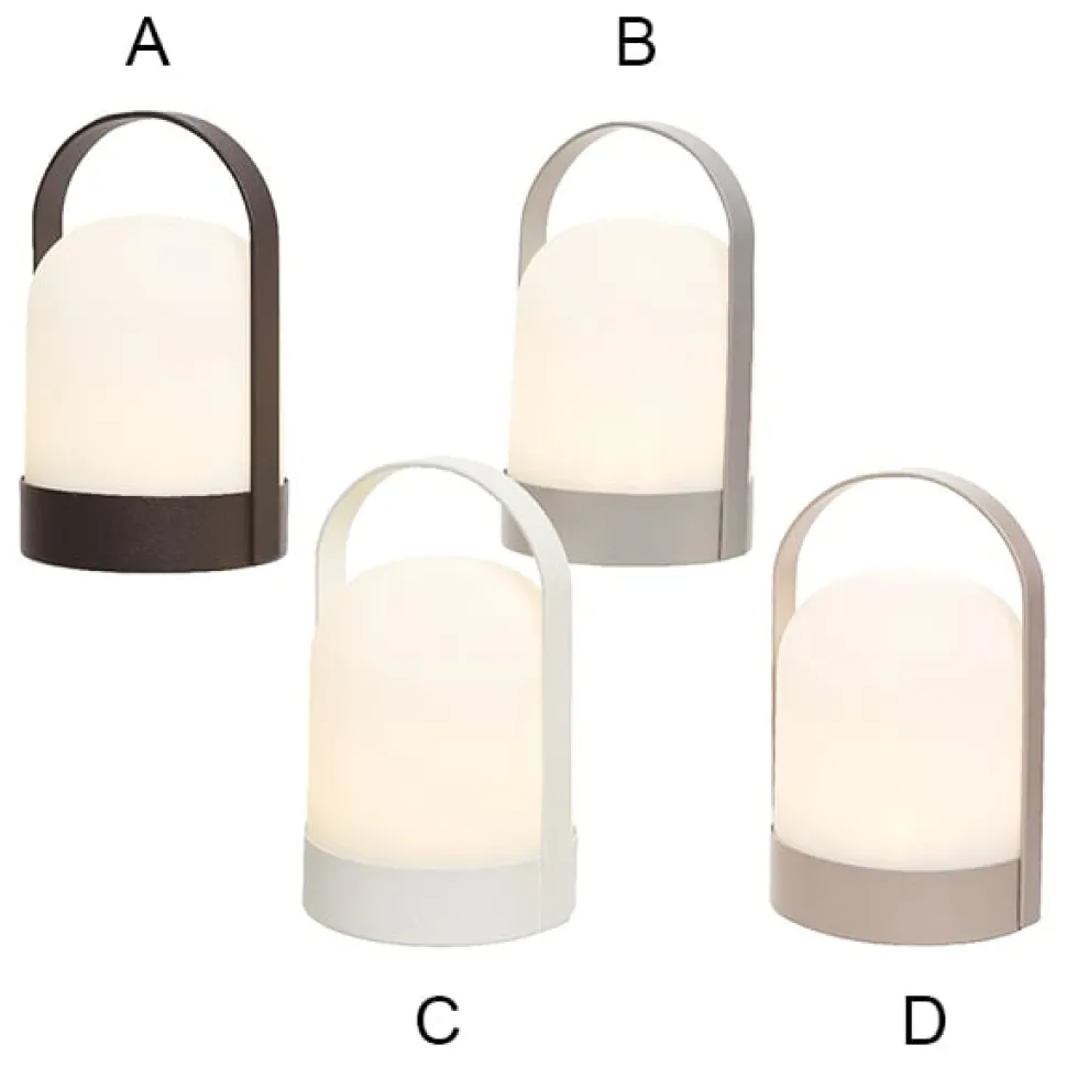 Lanterne DEL à batteries, 8 x 5″