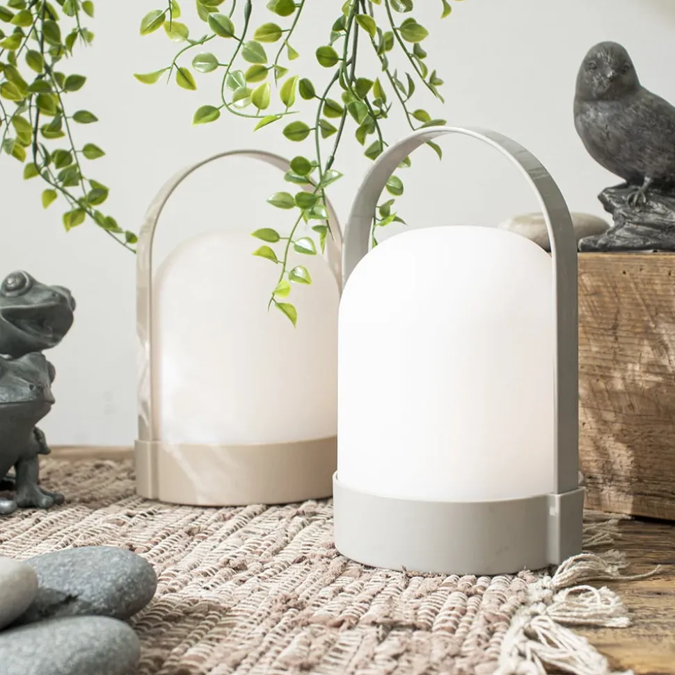 Lanterne DEL à batteries, 8 x 5″