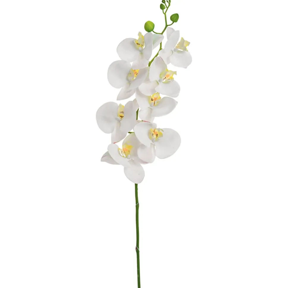 Large white orchid stem, 41"