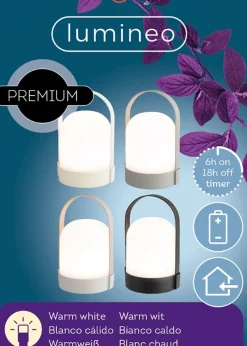 LED outdoor lantern, 8 x 5″