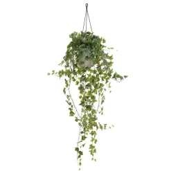 Lierre artificiel en pot suspendu, 61 x 18″