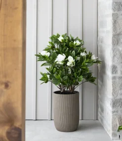 Magnolia artificial outdoor plant, 50