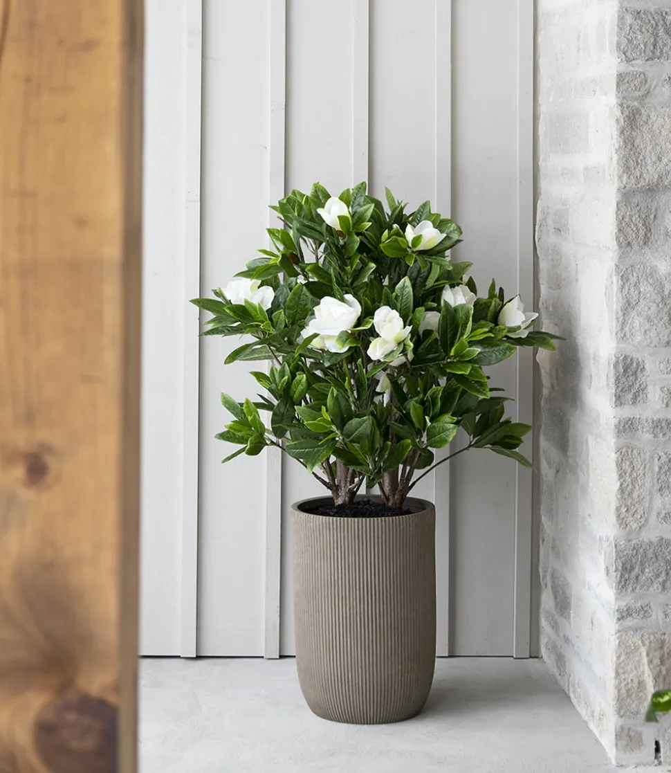 Magnolia artificial outdoor plant, 50"