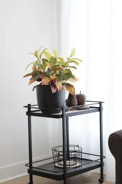 Matte black ceramic plant pot