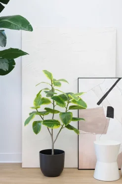 Matte black ceramic plant pot