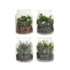 Mini glass terrarium of plants, 6 x 5″