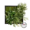 Mixed greenery and moss plant frame, 18 x 18″
