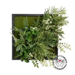 Mixed greenery and moss plant frame, 18 x 18″