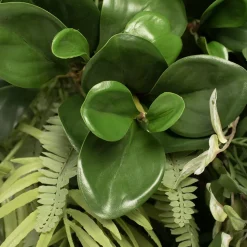 Mixed greenery and moss plant frame, 18 x 18″