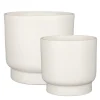 Modern white plant pot