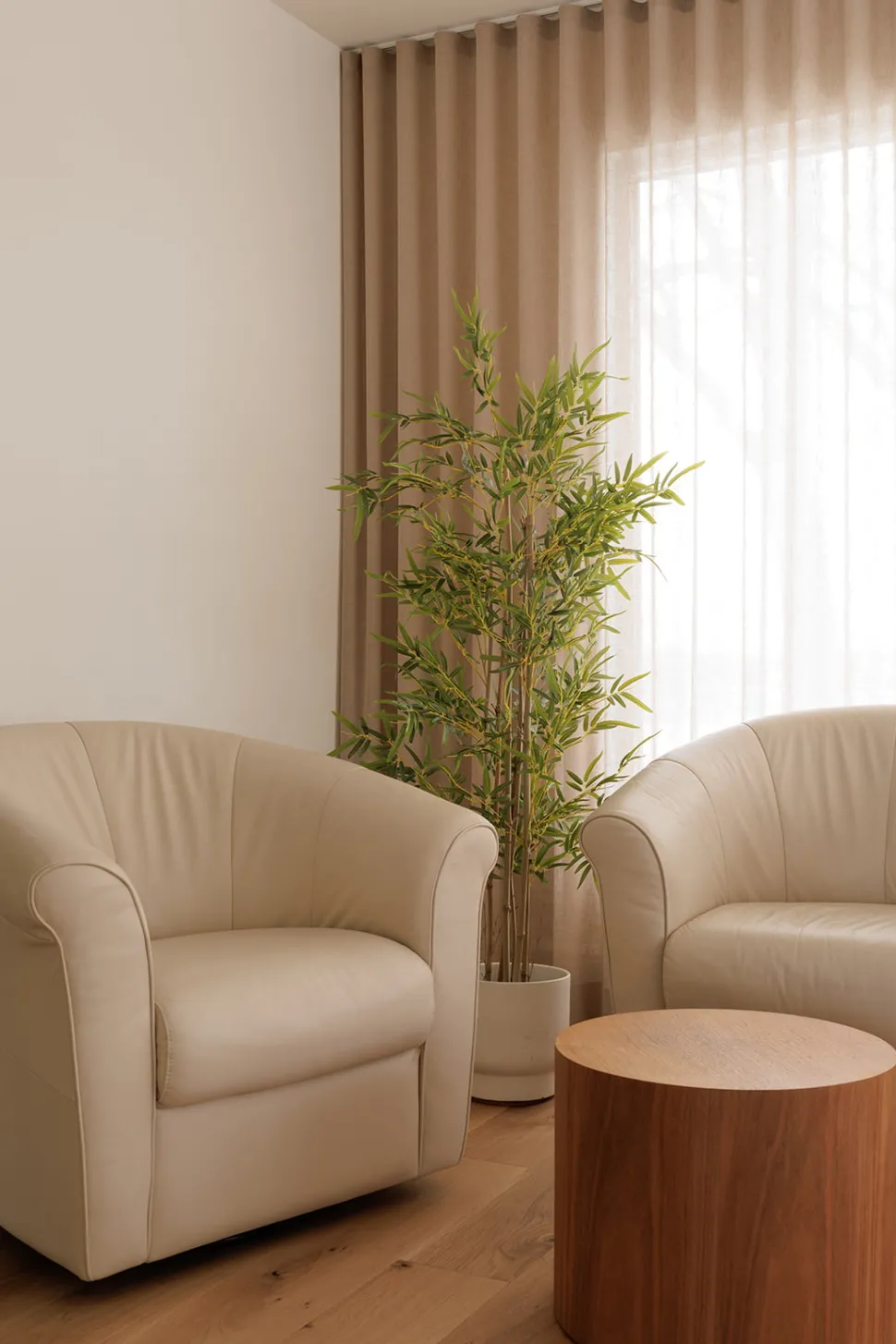 Modern white plant pot