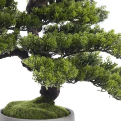 Mountain pine artificial bonsai tree