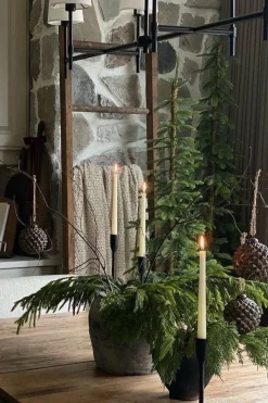 Narrow alpine fir on stand, 84