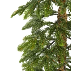 Narrow alpine fir on stand, 84