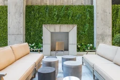 New privacy trellis (brown structure), 39 x 78″