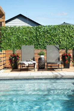 New privacy trellis (brown structure), 39 x 78″