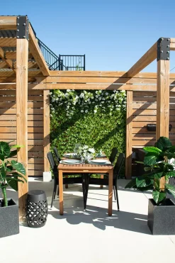 New privacy trellis (brown structure), 39 x 78″