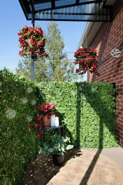 New privacy trellis (brown structure), 39 x 78″