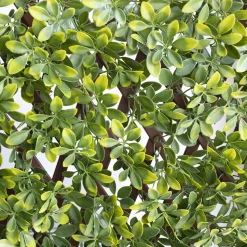 New privacy trellis (brown structure), 39 x 78″