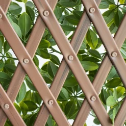 New privacy trellis (brown structure), 39 x 78″