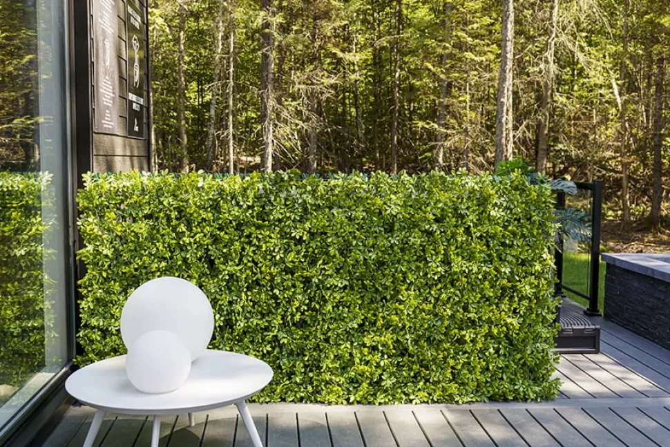 New privacy trellis (green structure), 39 x 78″