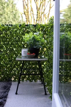 New privacy trellis (green structure), 39 x 78″