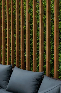 New privacy trellis (green structure), 39 x 78″