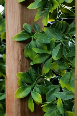 New privacy trellis (green structure), 39 x 78″