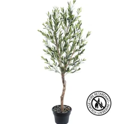 Olive tree with fire-retardant foliage