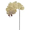 Orchidée blanche artificielle, 30″