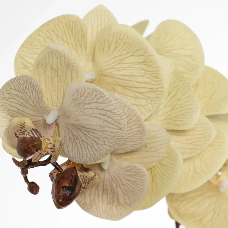 Orchidée blanche artificielle, 30″