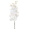 Orchidée phalaenopsis blanche artificielle, 33″