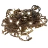 Outdoor 100 LEDs on green wire, white, 52,5′