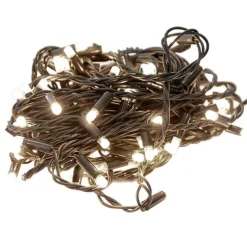 Outdoor 100 LEDs on green wire, white, 52,5′